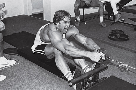 Seated-Cable-Row